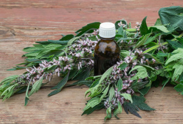 Пустырник и бутылочка с настойкой