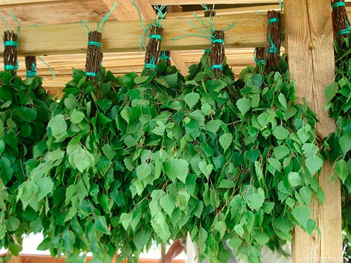 Правила подбора веника