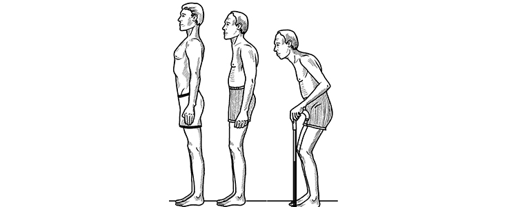 Классификация Классификация