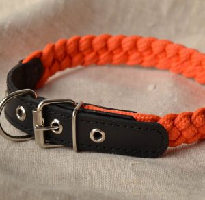 Важные правила выбора ошейника и намордника для Таксы: отзывы и цена