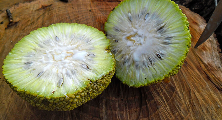 Противопоказания к лечению фруктом Противопоказания к лечению фруктом