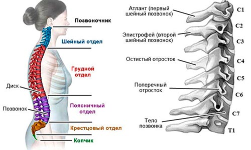 Причины нарушения статики шейного отдела