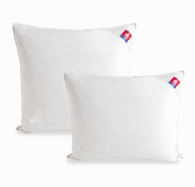 Лёгкие сны Камилла