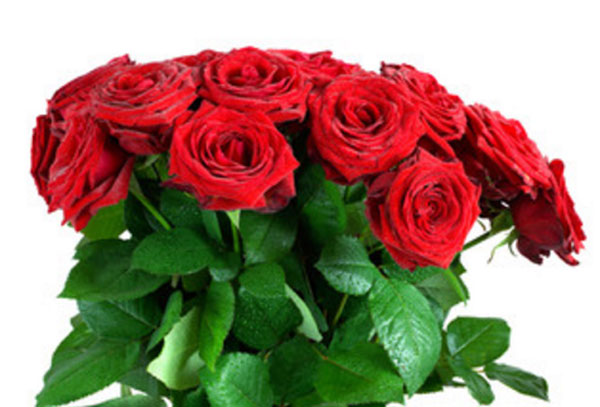 Букет красных роз