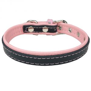 Важные правила выбора ошейника и намордника для Таксы: отзывы и цена