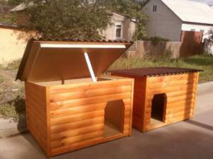 Советы по созданию будки для хаски своими руками