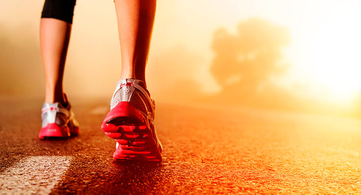 Функции Функции