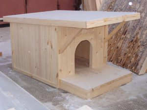 Несколько правил и рекомендаций по созданию вольера и будки для лайки