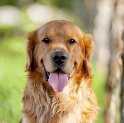 Сосуществование с маленькими детьми