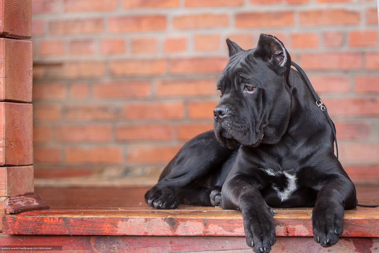 Processed by: Helicon Filter,