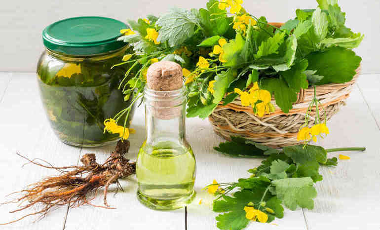 Народные методы лечения аденомы простаты