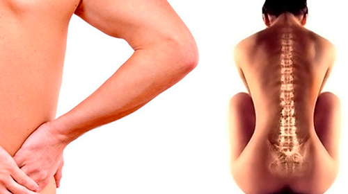 Область боли при грыже позвоночника