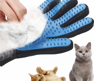 Обзор редких и распространенных окрасов кошек и особенности ухода за шерстью