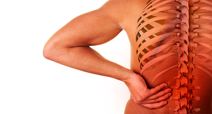 Адамово яблоко – лечебные свойства Адамово яблоко – лечебные свойства