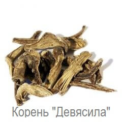 настойка из корня девясила для стоп