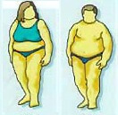 лишний вес причина артроза стоп