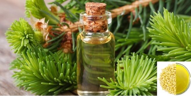 эфирное масло кедра для лодышки