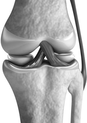 связки колена