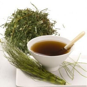 на фото настойка из полевого хвоща полевой хвощ